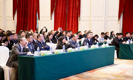 人生就是搏·(中国区)官方网站集团党委&ldquo;书记带项目&rdquo;工作阶段性进展汇报会成功召开